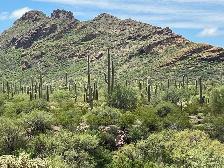 Desert Acreage in Avondale