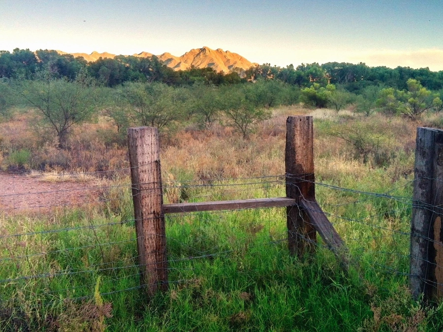 Rural Access Parcels in Avondale
